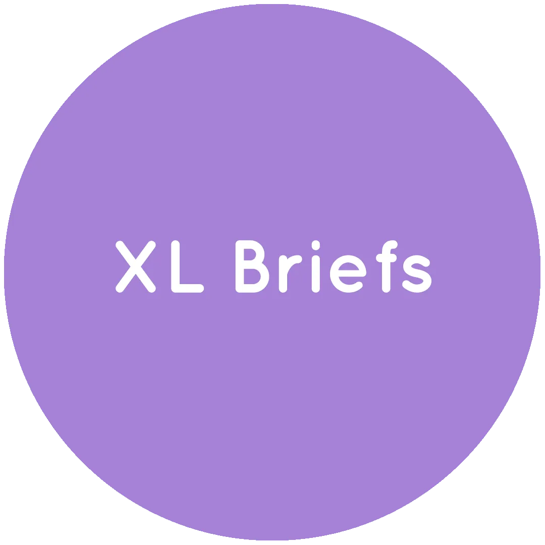 OUTLET - XL Briefs
