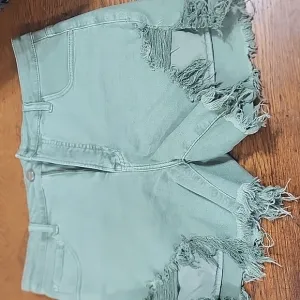 Risen 💚NWOT💚 Denim Shorts Frayed Distressed Shark Bites XL EUC